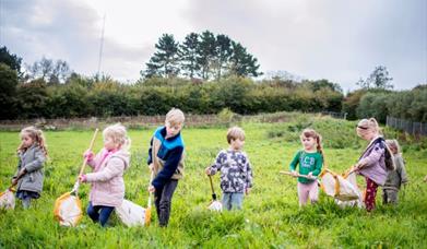 Summer Explorers, Occombe Farm