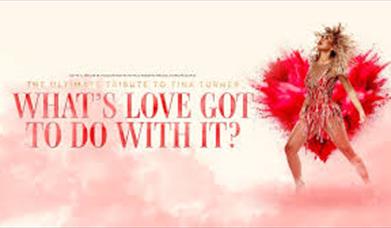What's Love Got To Do With It? A Tribute To Tina Turner, Princess Theatre, Torquay