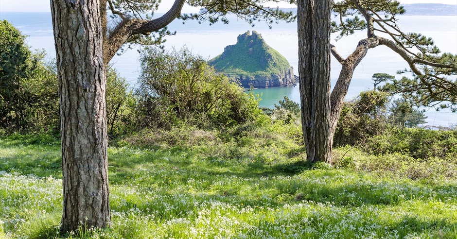 Why should you visit the English Riviera in Spring? - English Riviera