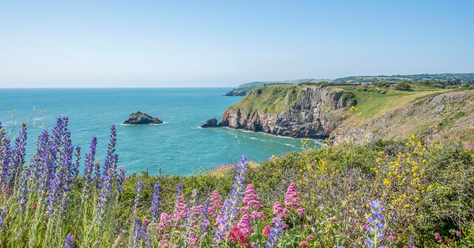 Art, Adventure, and Agatha Christie: Why the English Riviera is the UK ...