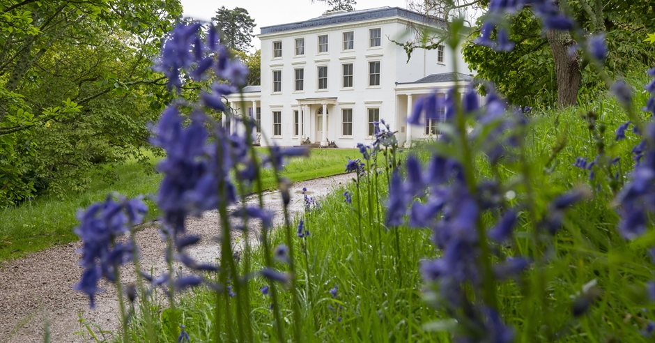 devon-saltram-national-trust-plymouth-2019-all-you-need-to-know