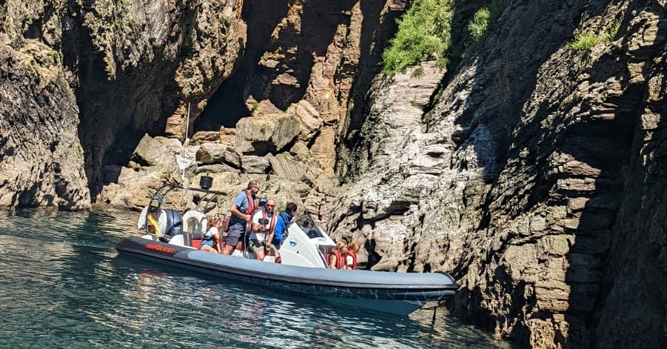 Coastal Wildlife Boat Tour - Torquay Watersports - Unique Experience in ...