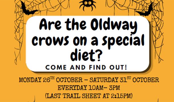 Oldway Halloween Trail