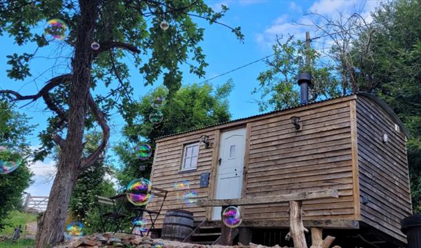 Shepherd hut at Hillside Hideaways, Paignton