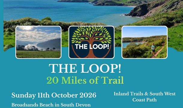 The Loop