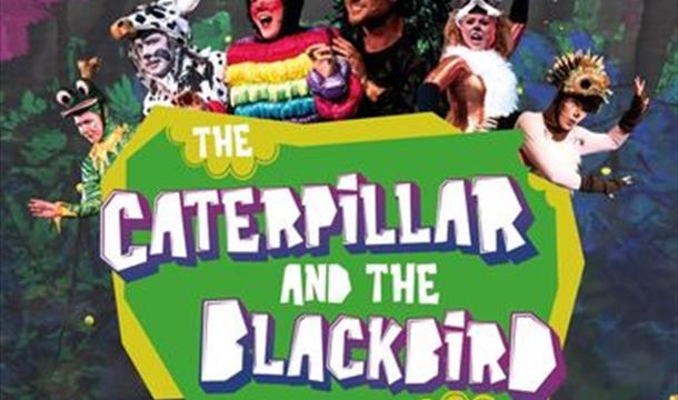 The caterpillar and the blackbird