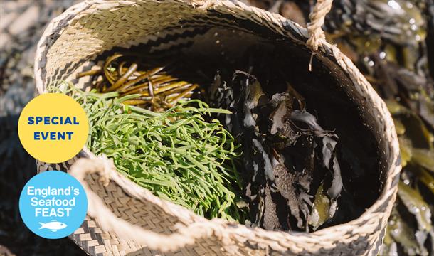 Coast to Caves event, part of England's Seafood FEAST. A basket of freshly foraged seaweed sits on a beach.