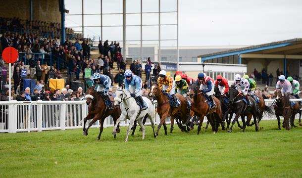 Newton Abbot Racecourse & Conference Centre