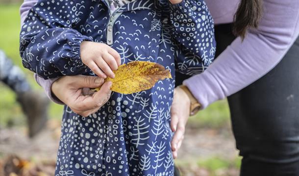 Child playing with a leaf