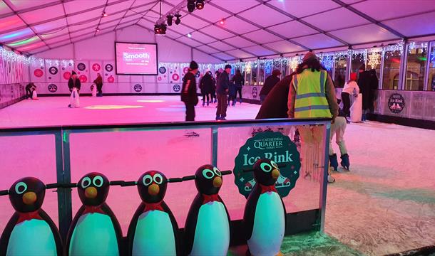 Penguins at New real ice rink at Torre Abbey, Torquay