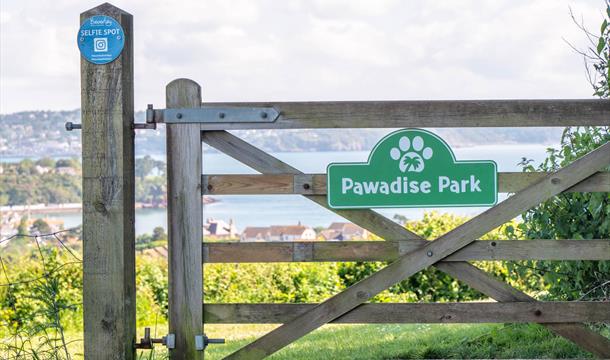 Enclosed dog walking area, Pawadise Park, with sea views.