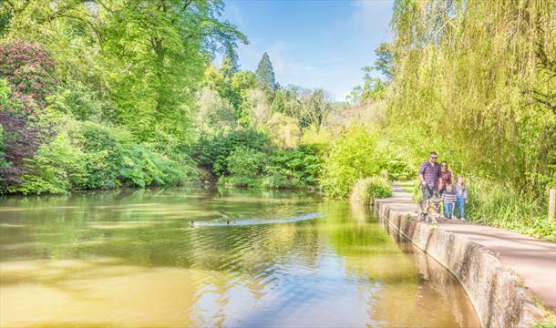 Torbay Coast and Countryside Cockington lakes accessible