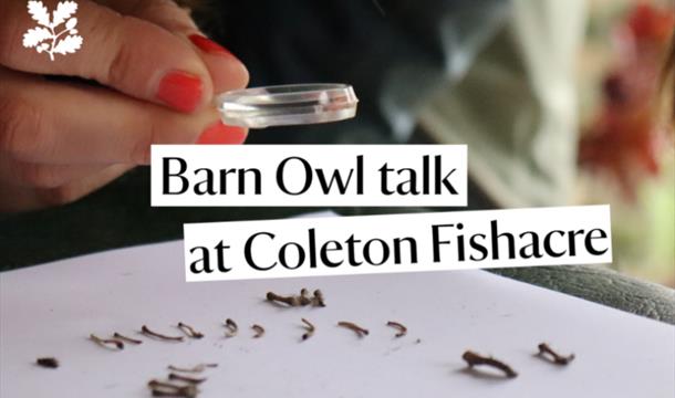 Barn owl talk at Coleton Fishacre