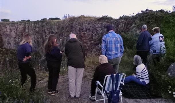 Bat Walk - Torbay Coast and Countryside Trust, Berry Head, Brixham