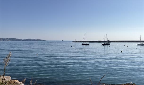 Art Walks For Health - Brixham Loop