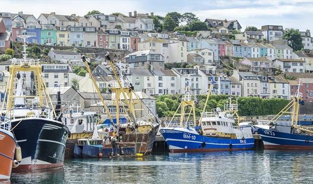 Brixham harbour