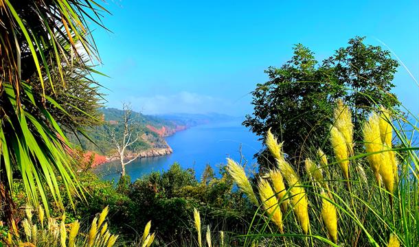 Rooms At Babbacombe, Babbacombe Downs view, Torquay, Devon