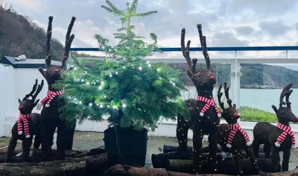 Christmas Fayre at The Cary Arms