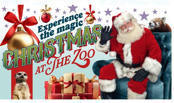 Christmas At The Zoo, Paignton Zoo