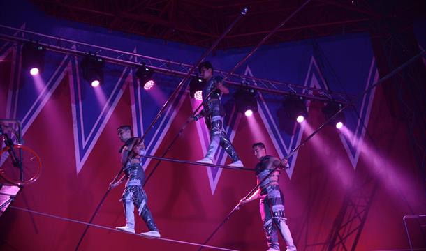 Performers at Circus Brazil