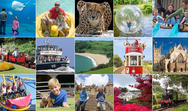 Devon's Top Attractions