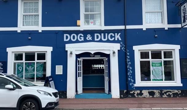 Dog and Duck Torquay, Devon