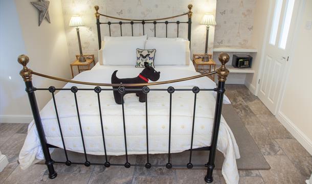 Dog friendly at Court Prior, Torquay, Devon