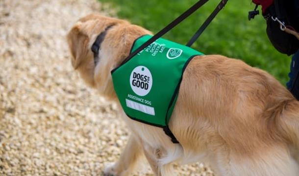 Dogs for Good, working dog, Timbrell’s Trips & Events CIC
