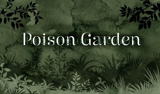 Exhibition Header