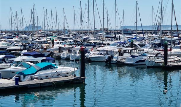 Front of house and car parking at the Millbrook, Torquay, Devon