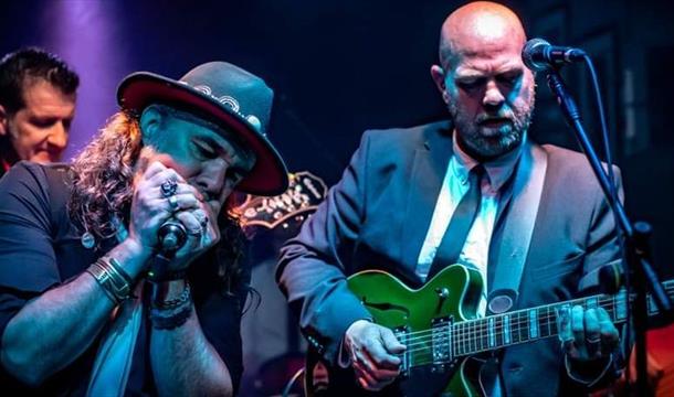 Terraplanes Blues Band performing