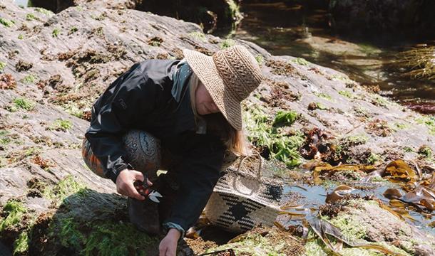 Foraging for seaweed, Be Nutriful