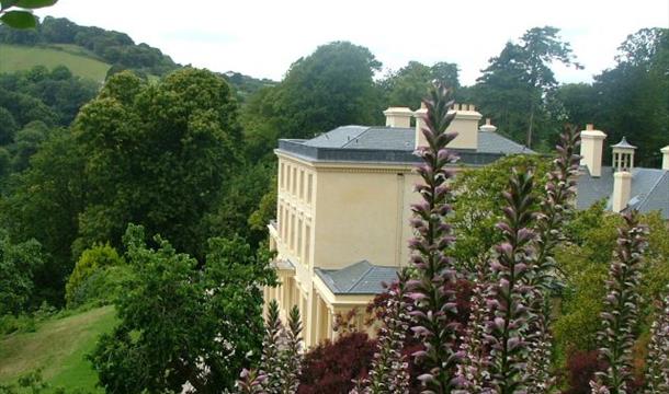 Teddy's Home for Christmas, Greenway House Brixham