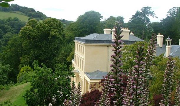 Travelling trees trail- Greenway House, Nr Brixham, Devon