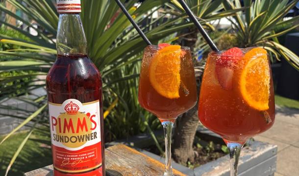 The Hyde Dendy, Paignton - Pimms
