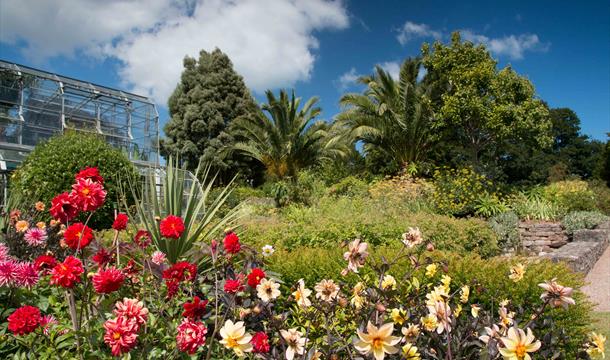 Gardens, Torre Abbey, Devon