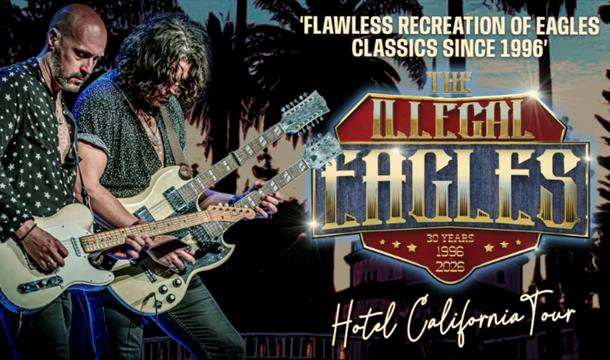 The Illegal Eagles, Princess Theatre, Torquay