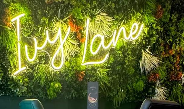 Ivy Lane in neon
