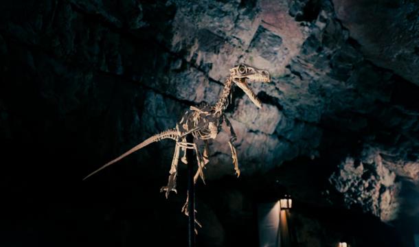 Age of the Dinosaurs Exhibition, Kents Cavern