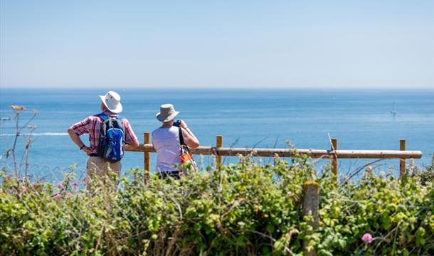 Stunning views from Landscove, Brixham, Devon