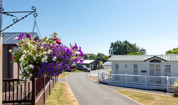 Stay at Landscove Holiday Park in Brixham