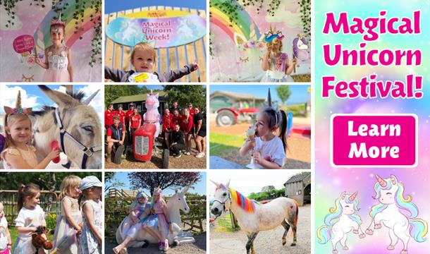 Magical Unicorn Festival at Pennywell Farm!