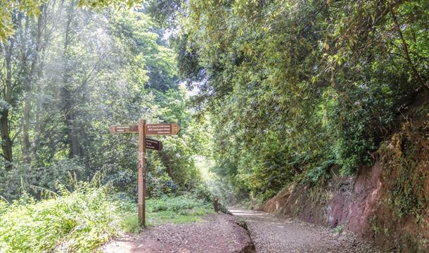 Signpost to Manscombe Woods, Cockington, Torquay, Devon