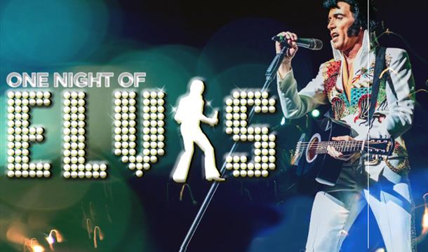 One Night of Elvis - Lee Memphis King, Princess Theatre, Torquay, Devon