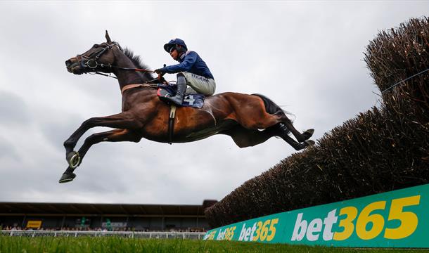 Afternoon Jump Racing. Newton Abbot Racecourse