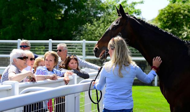 Easter Saturday Racing at Newton Abbot Racecourse