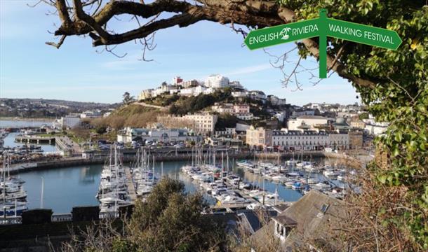 A view looking down across Torquay harbour and across to the far side of Torquay.