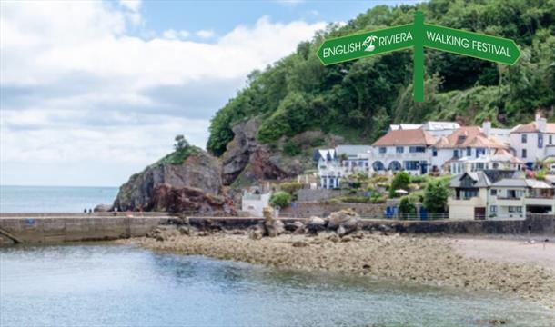 View from the sea across to Babbacombe beach and quay and the Cary Arms.