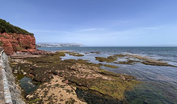Paignton
