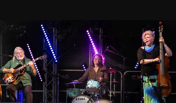 The Phil Beer Trio performing on stage